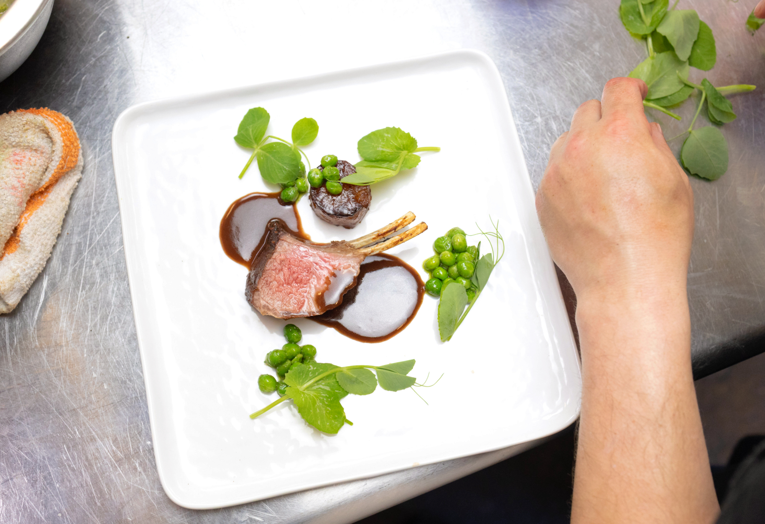 Teifi Valley Lamb Photoshoot