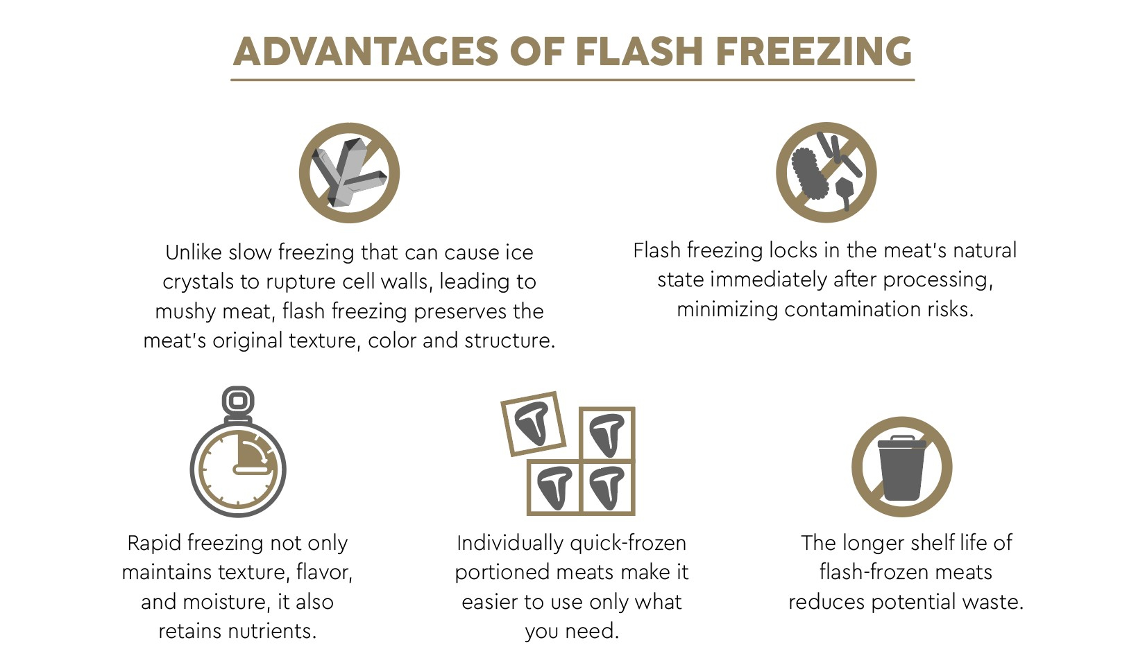 Icon Illustrations for Flash Freezing Guide