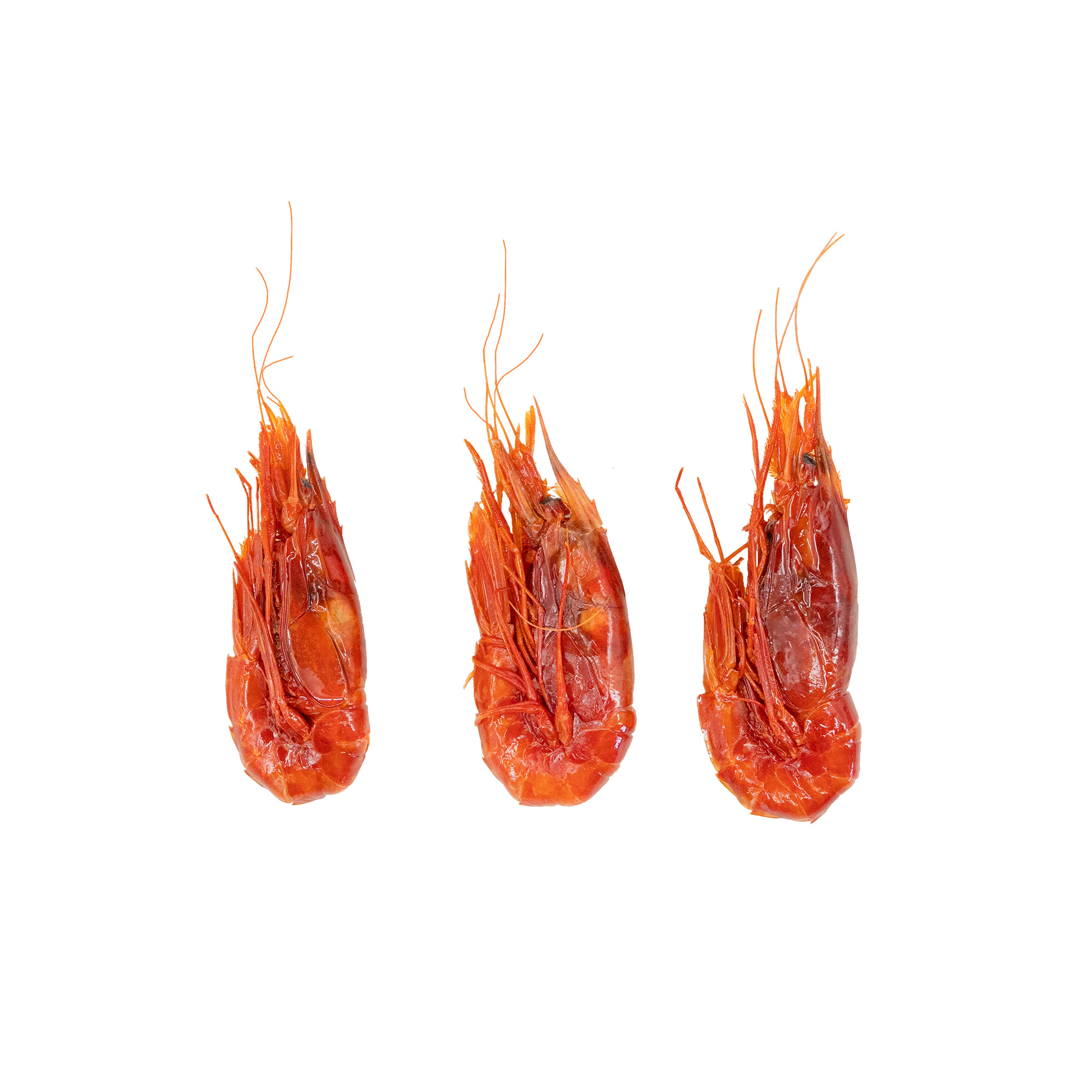 Carabineros Shrimp Product Photography