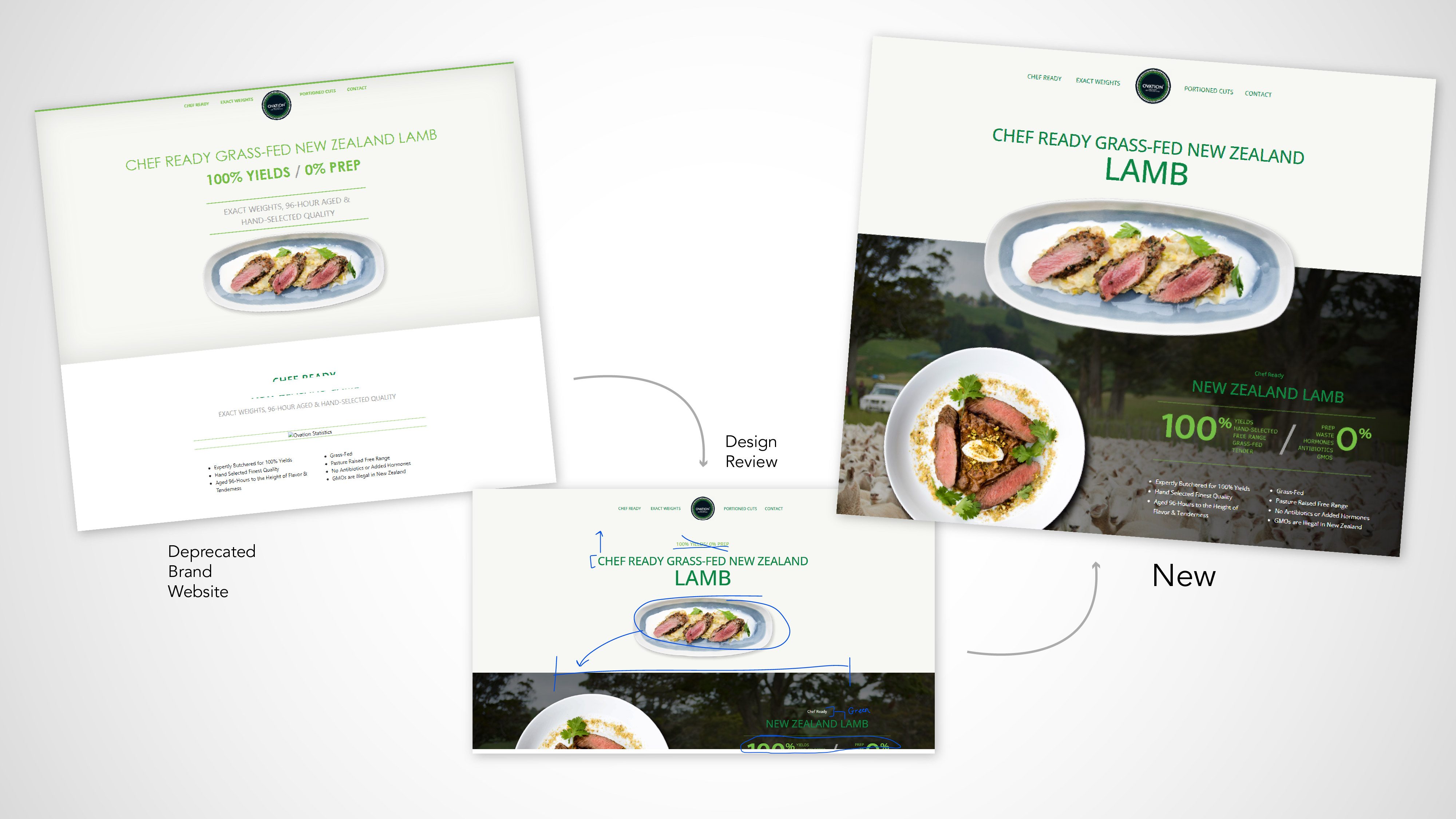 Art Direction for Lamb Brand Website Update