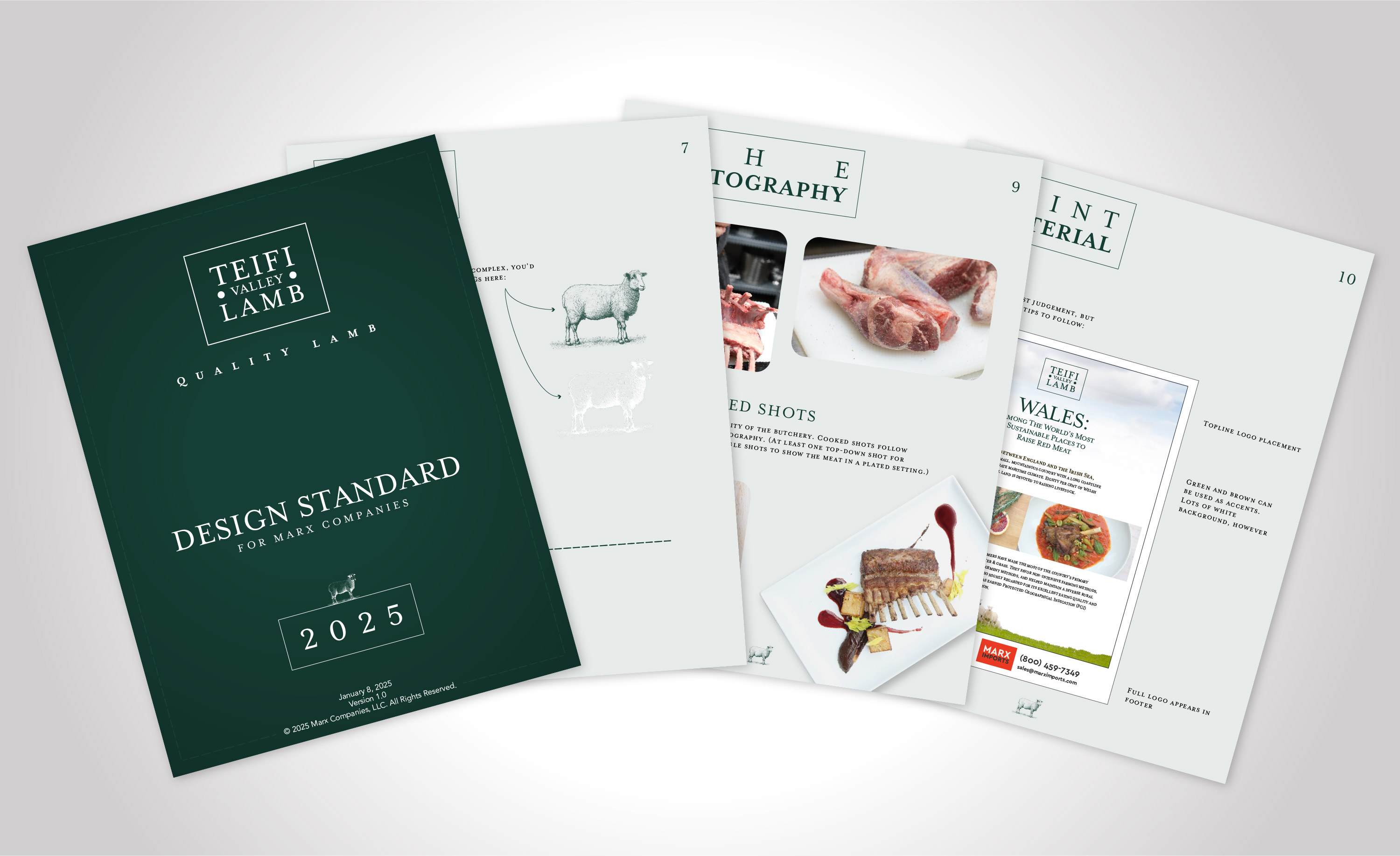 Teifi Valley Design Standard