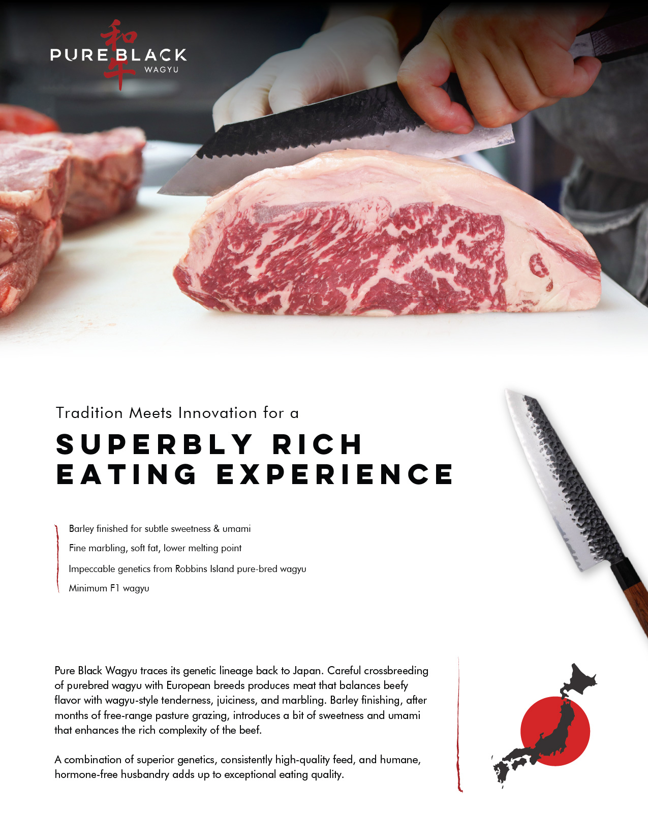 Pure Black Wagyu Beef Program Flyer