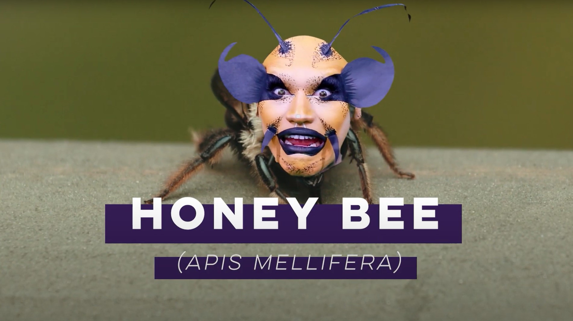 Loser's Circle Behind the Scenes