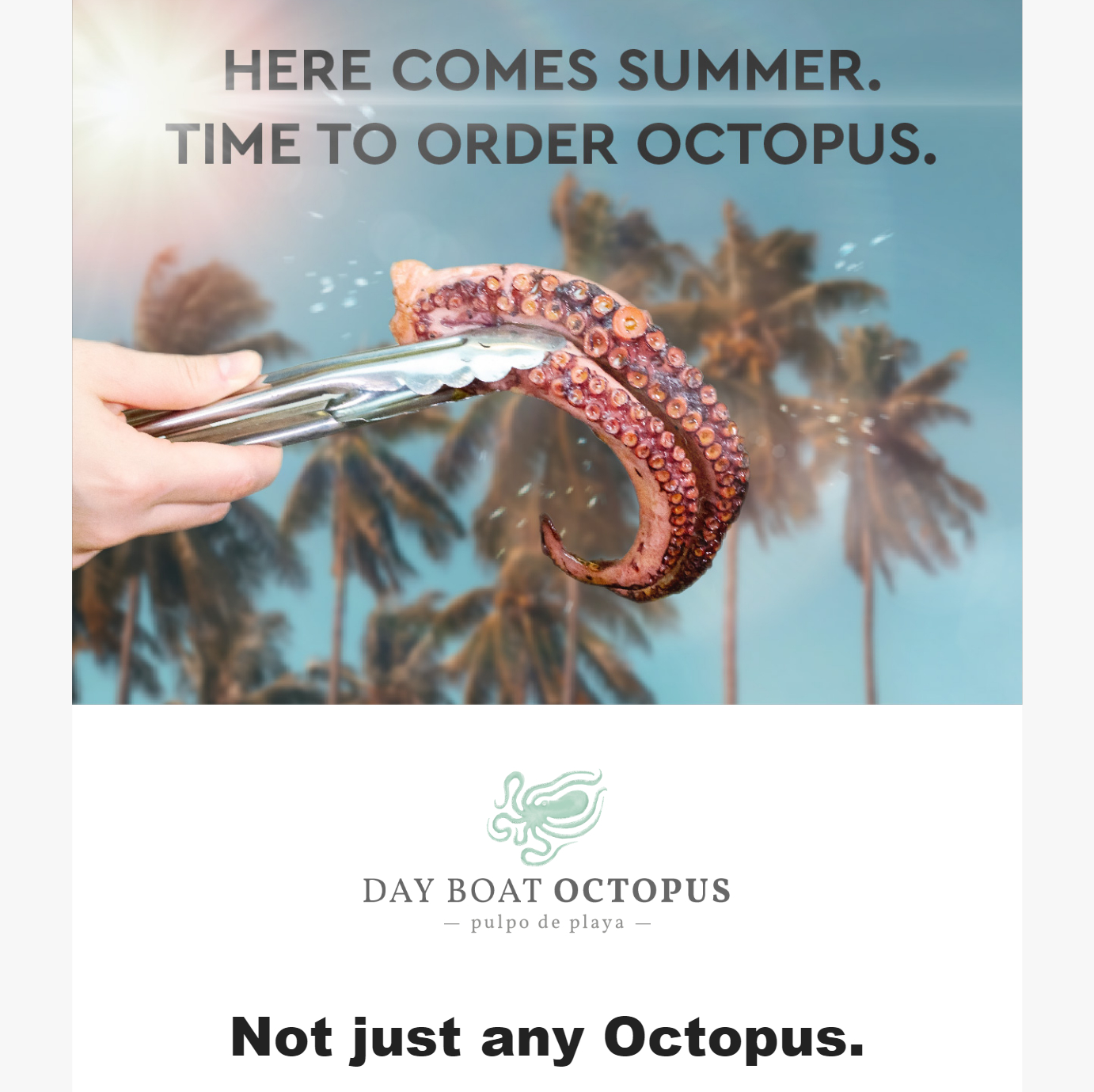 Octopus Promo Email B2B