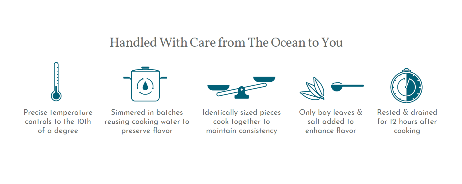 Iconography for Octopus Leg Flyer